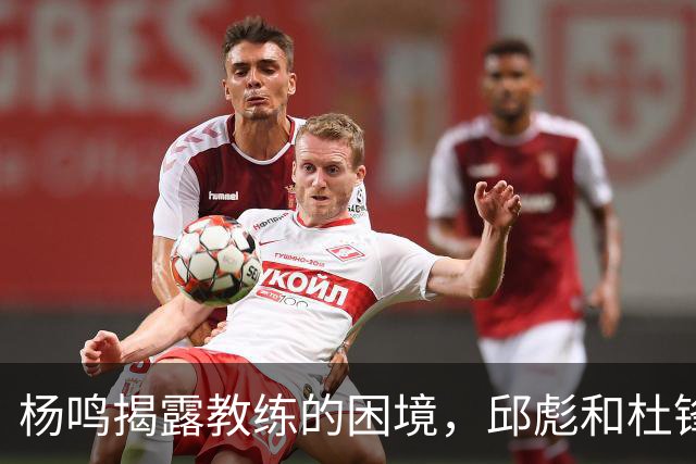 杨鸣揭露教练的困境，邱彪和杜锋的小团队行为是否成为自保策略？