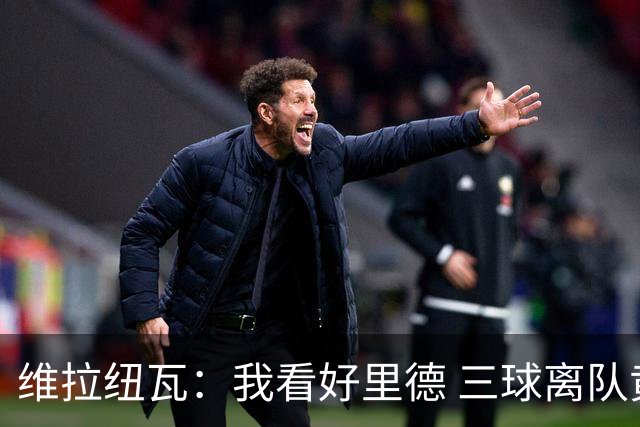 维拉纽瓦：我看好里德 三球离队黄蜂的实力反而得到了提升